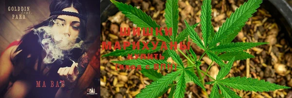 ECSTASY Зеленодольск