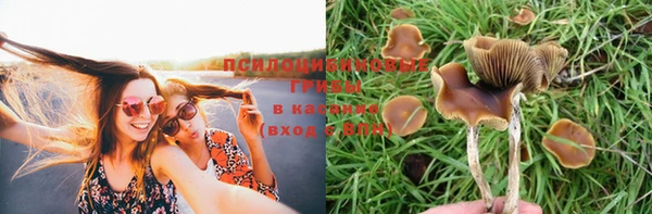 ECSTASY Зеленодольск