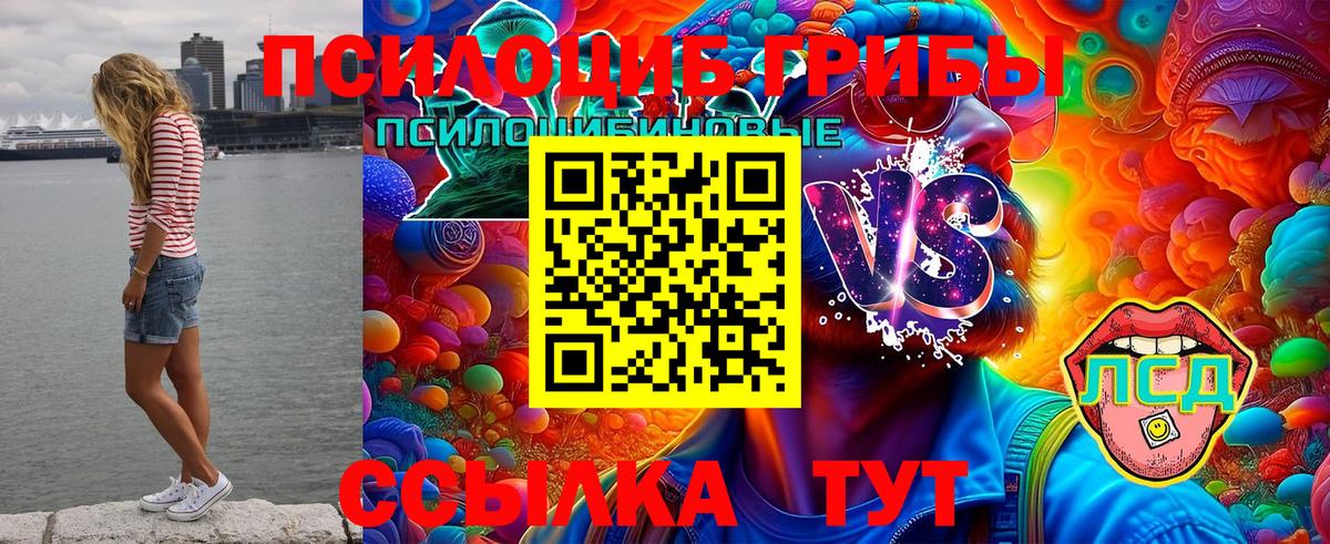Новокубанск  Псилоцибиновые грибы прущие грибы  Галлюциногенные грибы Magic Shrooms  Вход с VPN 