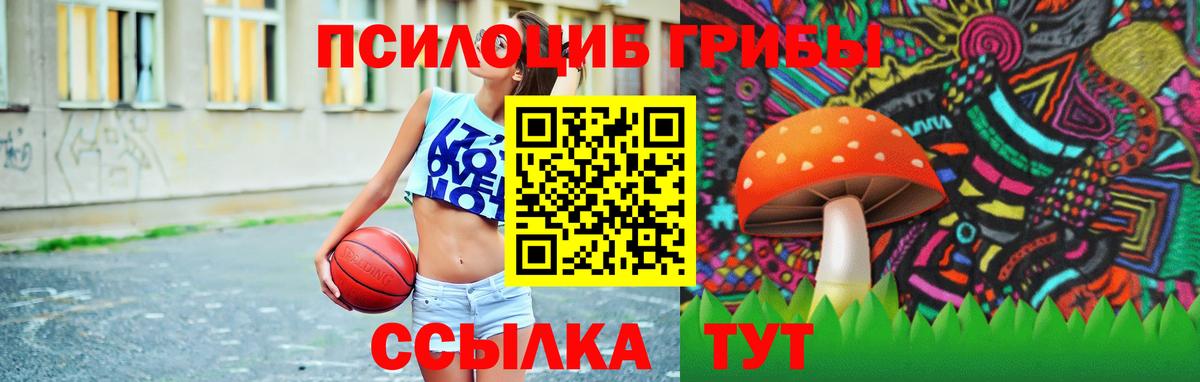 Псилоцибиновые грибы Psilocybine cubensis  Вход с VPN  как найти   Псилоцибиновые грибы Psilocybine cubensis  Новокубанск 
