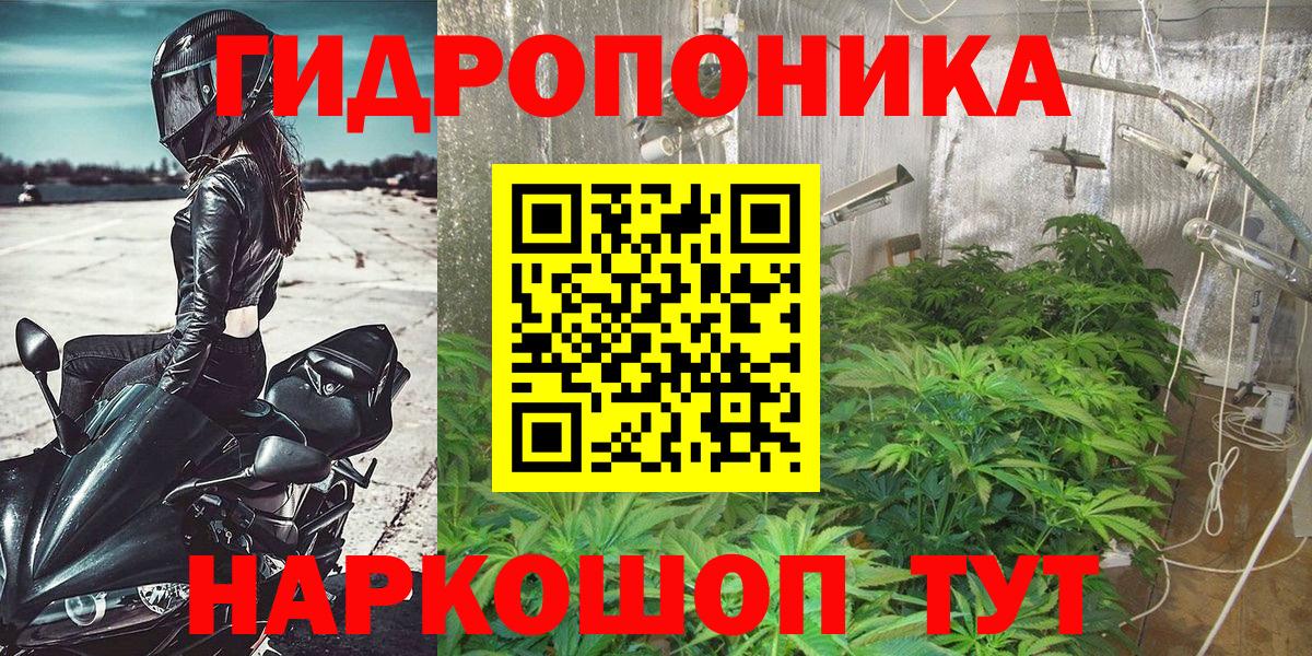 Бошки Шишки тримм Новокубанск